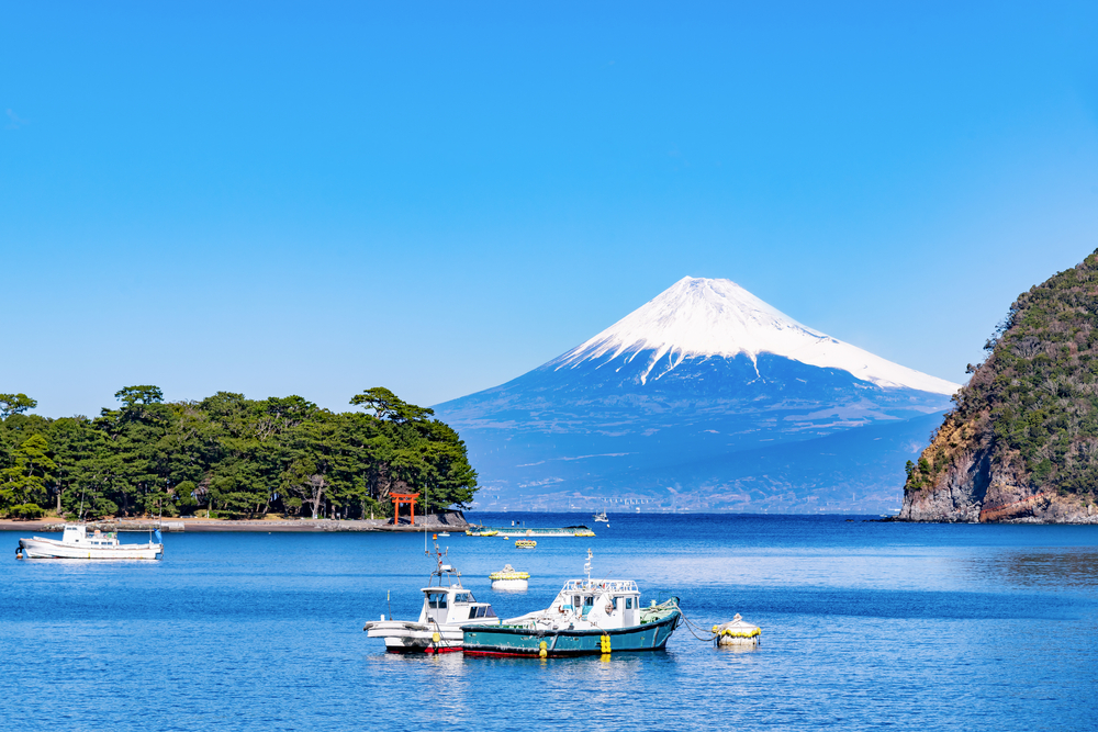 「沼津市100周年記念宿泊クーポン」9月15日10時配布　最大５千円の旅行支援