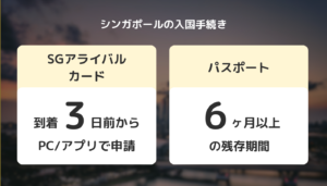 【図解】シンガポールの入国手続きとは？電子入国カード（SGアライバルカード）の書き方を解説