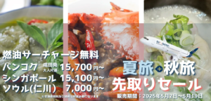 【2025】エアージャパンタイムセール　次回いつ？予想